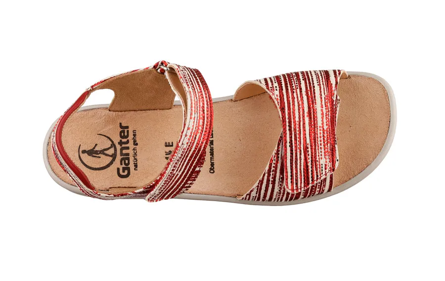 Gan Honey Red