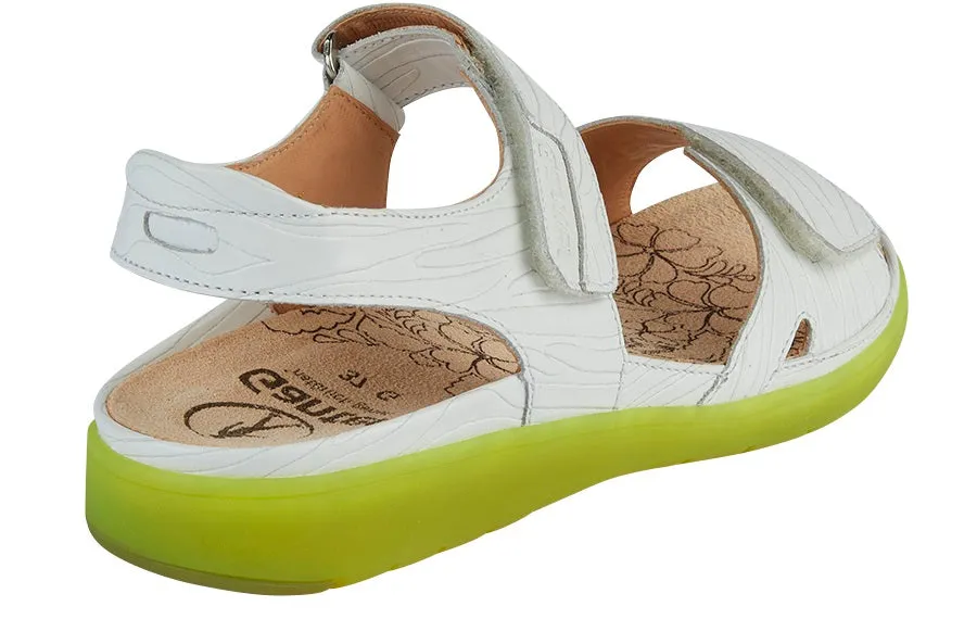 Gan Honey White