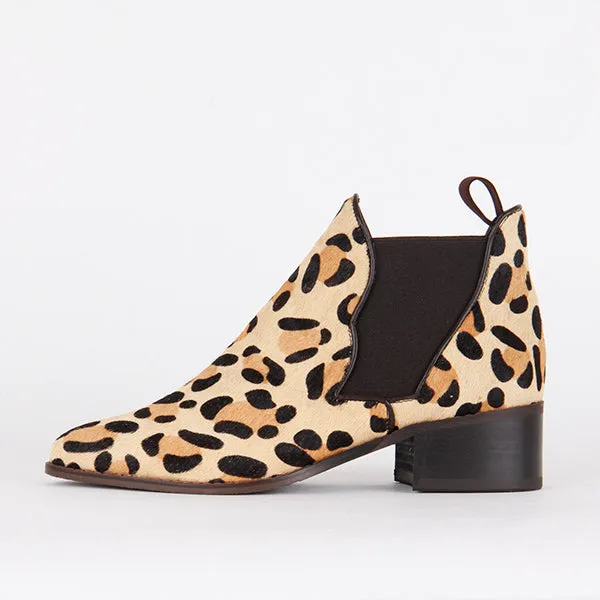 LAFF - leopard